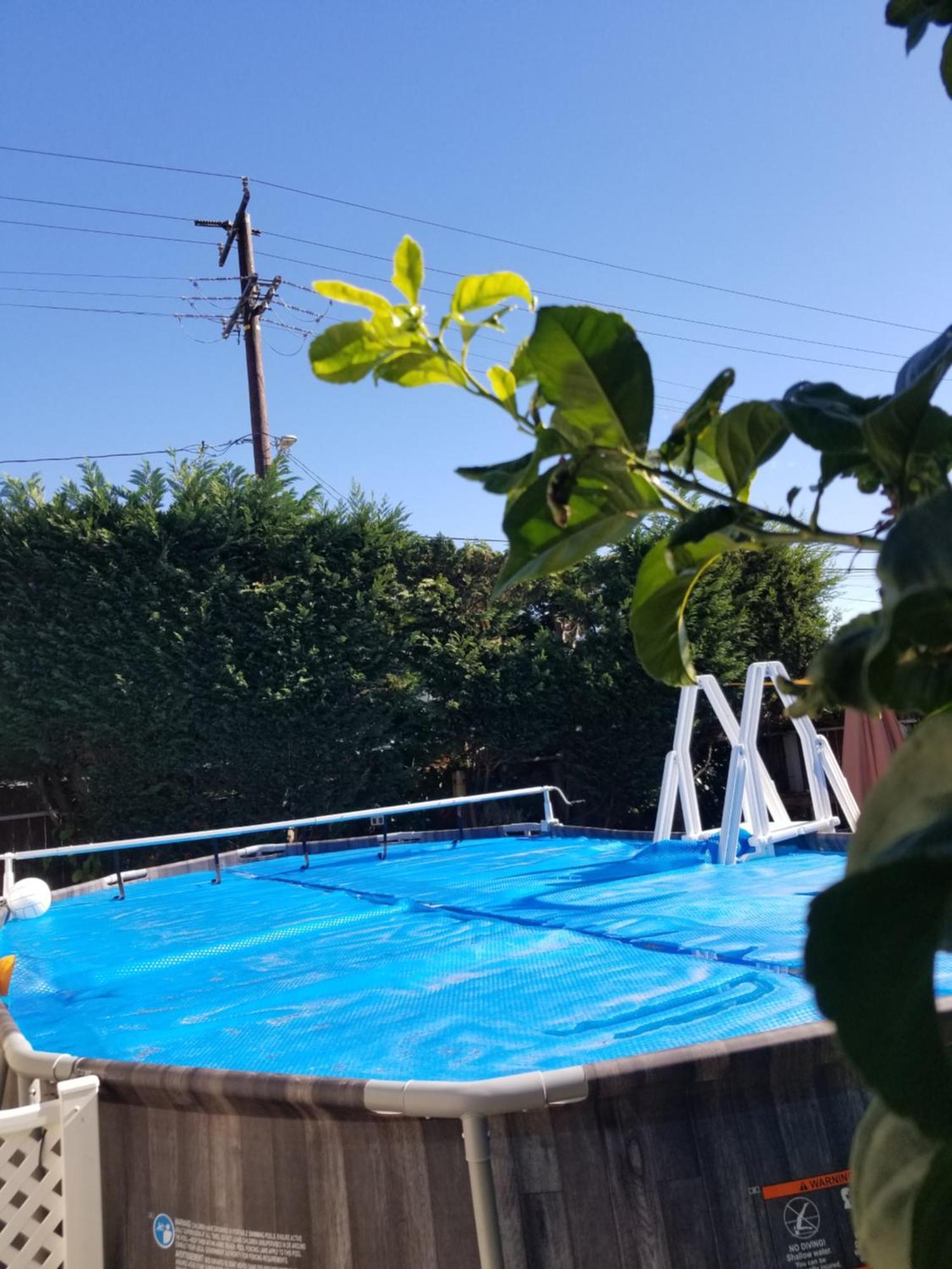 Studio In Southbay Close To The Beach Sofi Stadium Lax Lawndale Exteriér fotografie